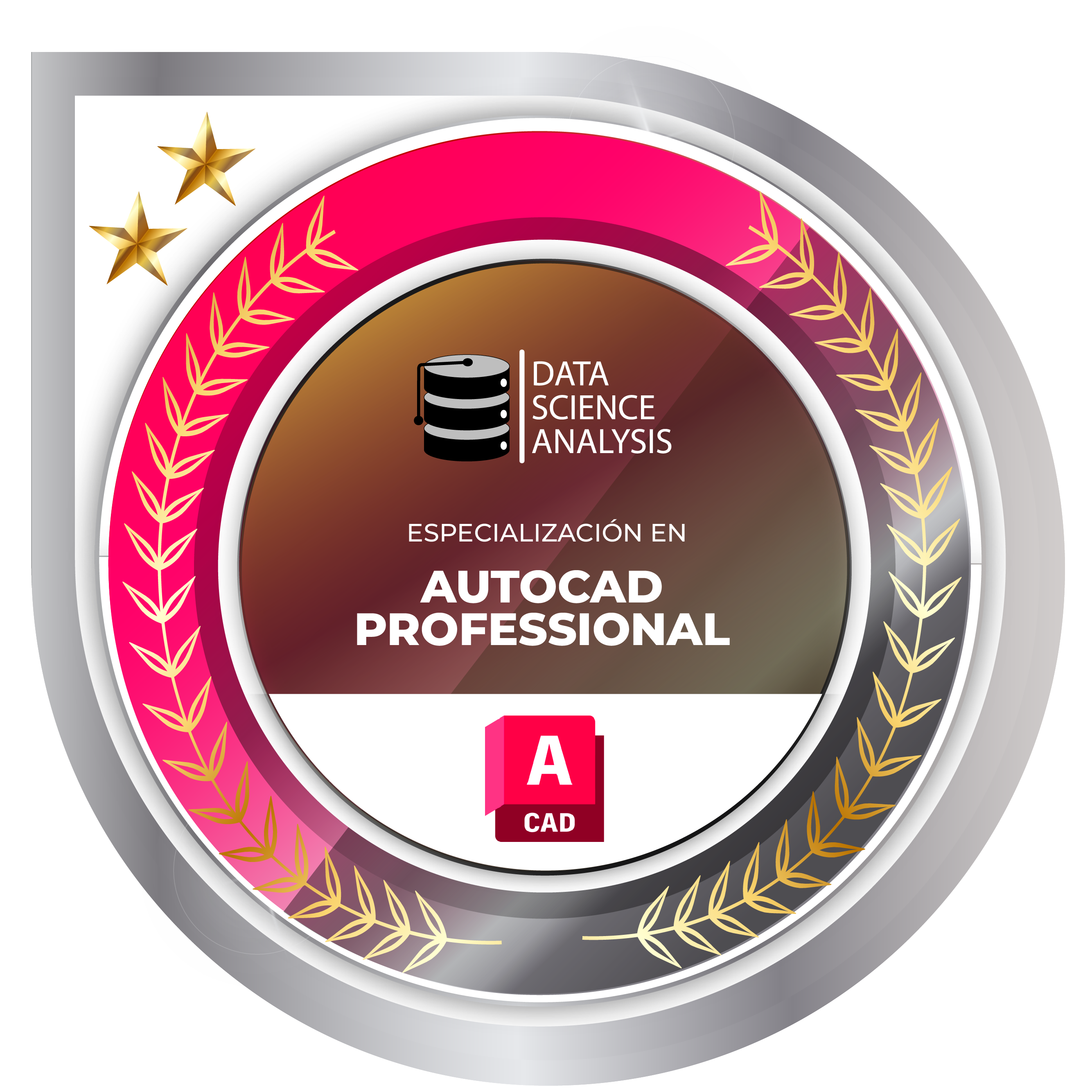 Autocad Professional