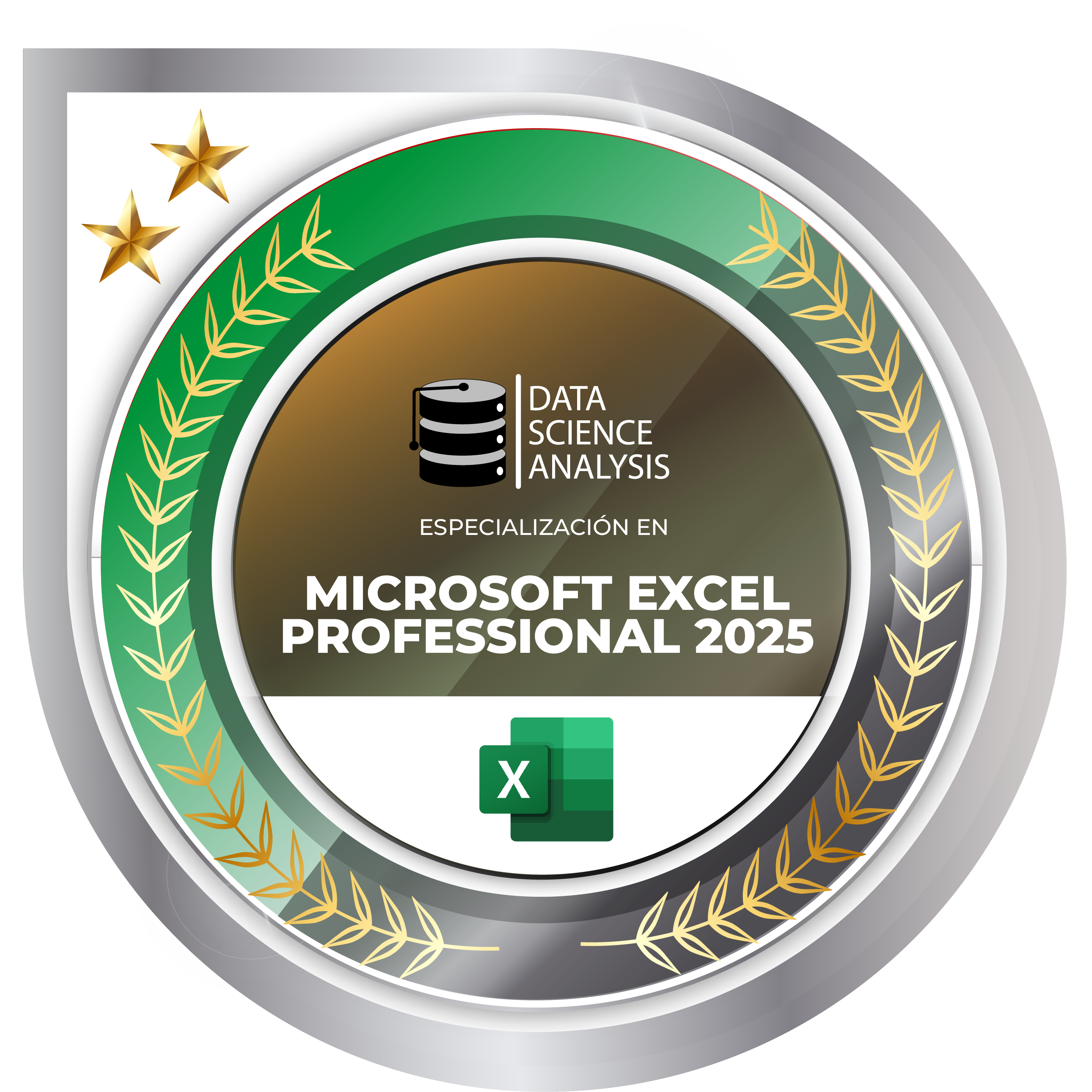 Microsoft Excel Professional 2025