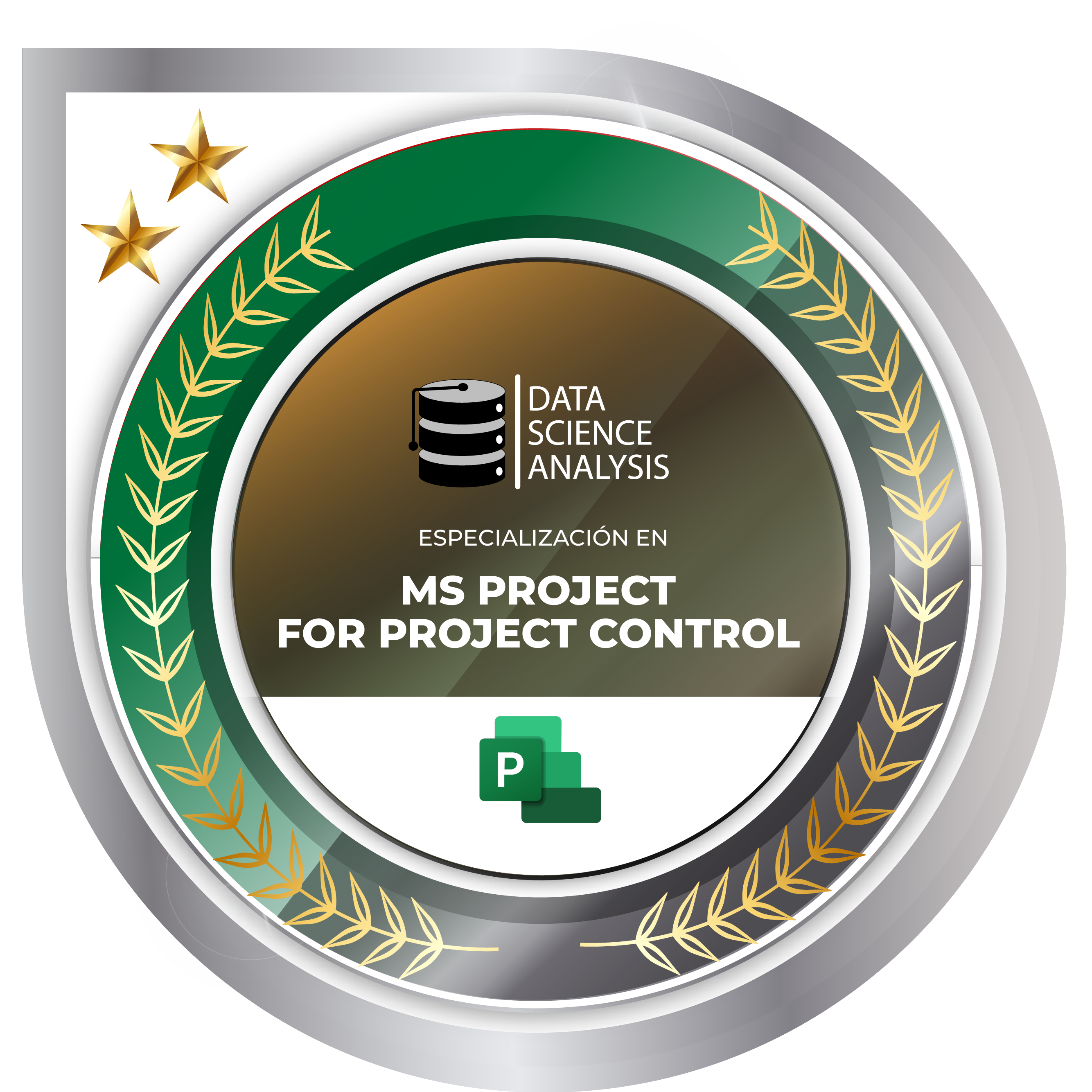 MS Project For Project Control
