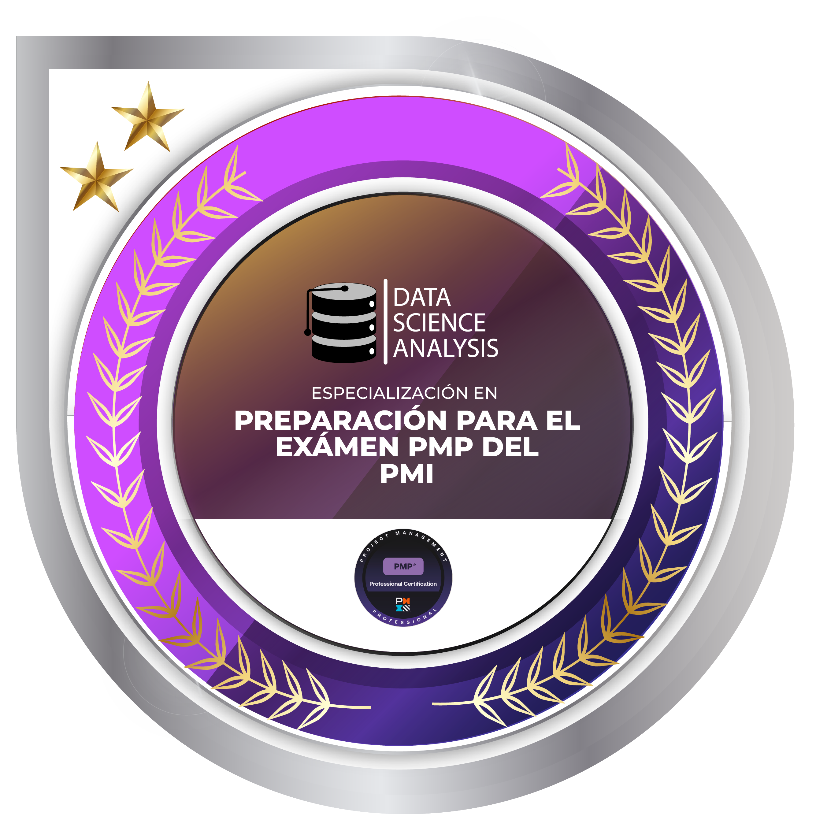 Preparación para el Exámen PMP del PMI